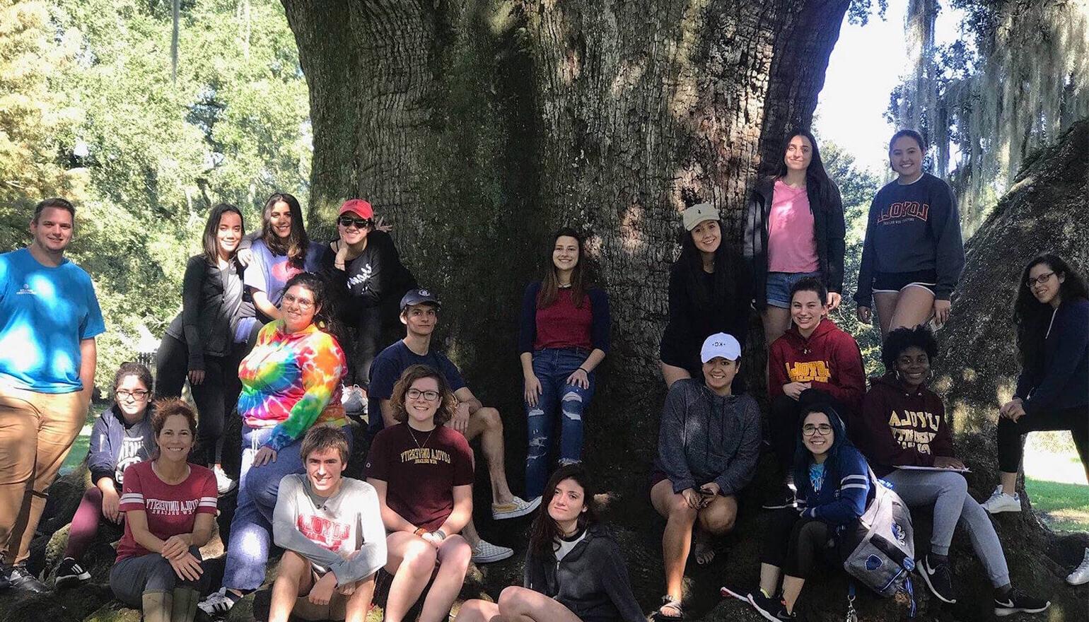 Group of foundations students by tree